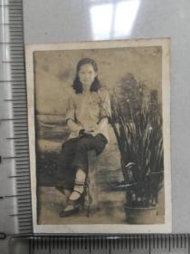 老照片1950年姐弟照片 美女照片尺寸 3.5+5