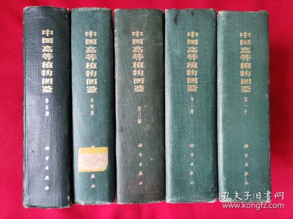 中国 高等植物 图鉴(精装1 一5册)