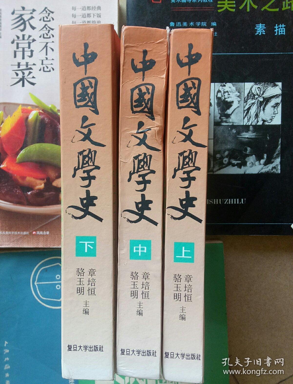 中国文学史(上,中,下 精装-章培恒 骆玉明 主编 复旦大学出版社