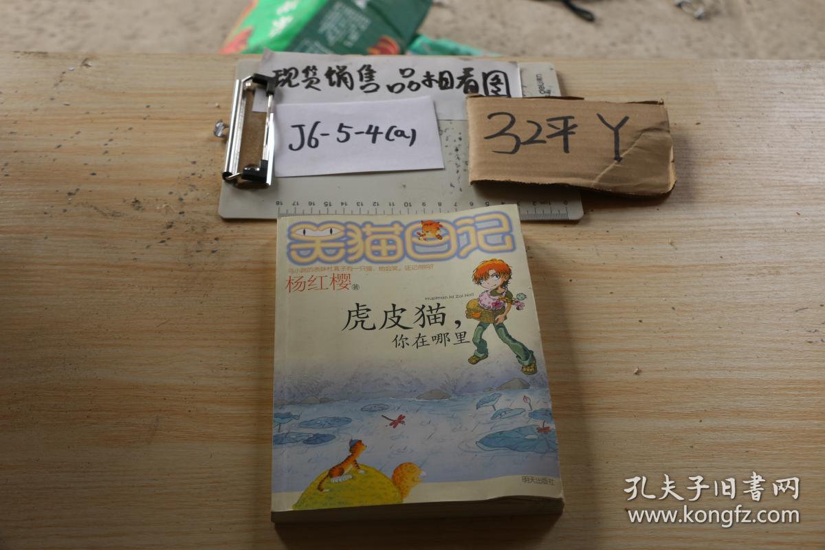 笑猫日记.虎皮猫,你在哪里