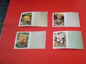 特568野生菇邮票 （2）带边   原胶全品