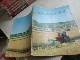 社会主义文化农村（ 朝鲜画册）
