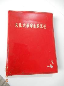 *****永放光芒（**红宝书）
