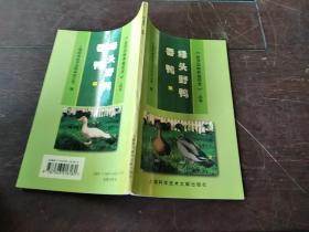 绿头野鸭·番鸭——《经济动物养殖技术》丛书
