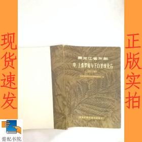 黑龙江省东部中、上侏罗统与下白垩统化石  上册
