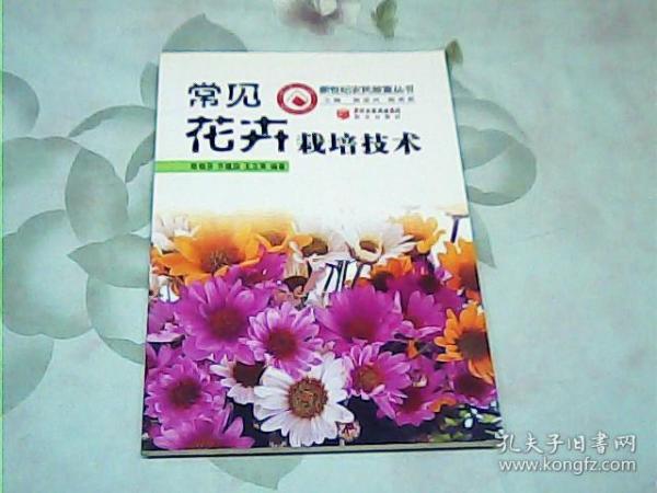 威尼斯9499登录入口“风吹石头跑”的戈壁滩也可鲜花盛开
