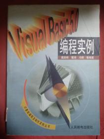 Visual Basic 5.0编程实例   附一张磁盘