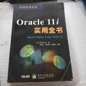 Oracle11i实用全书