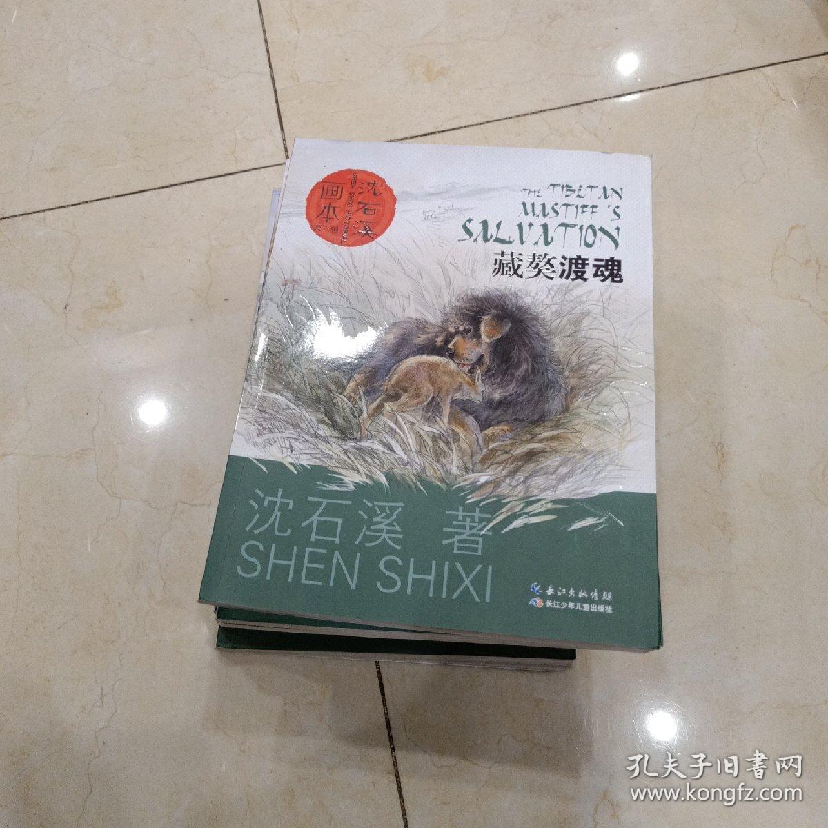 沈石溪画本(全十册)