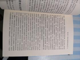 维吾尔族萨满文化遗存调查