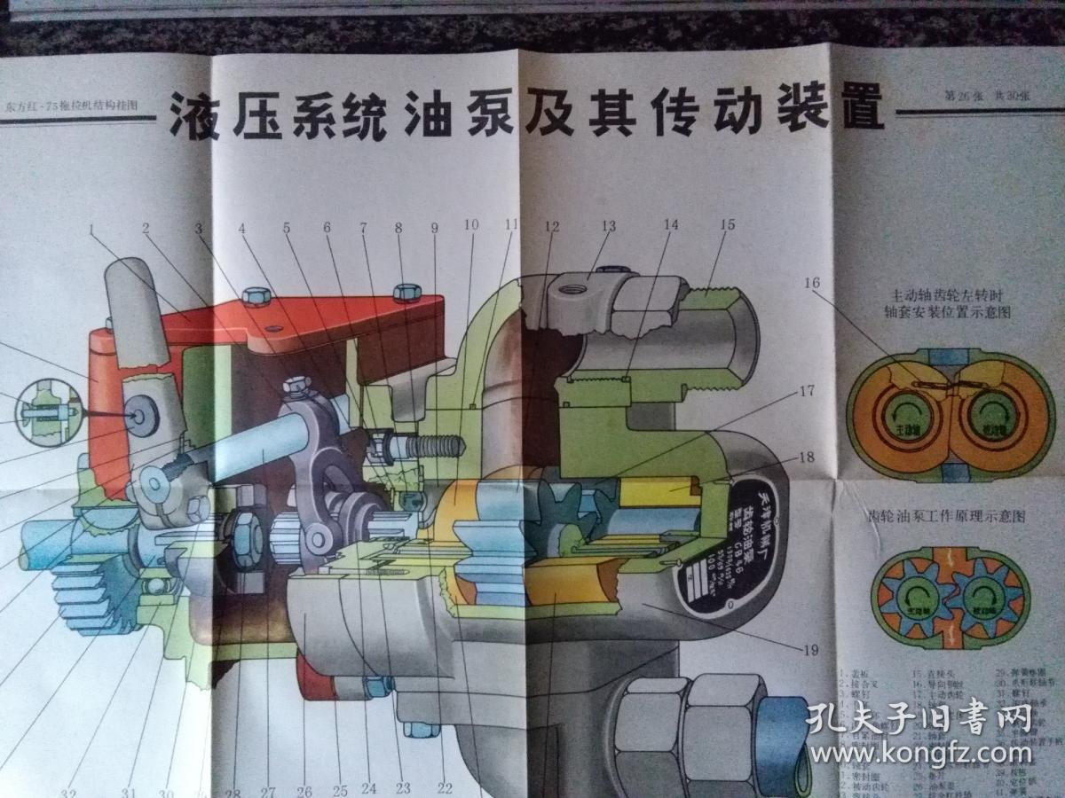 东方红75拖拉机结构挂图液压系统油泵及传动装置