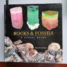 Rocks and Fossils: A Visual Guide