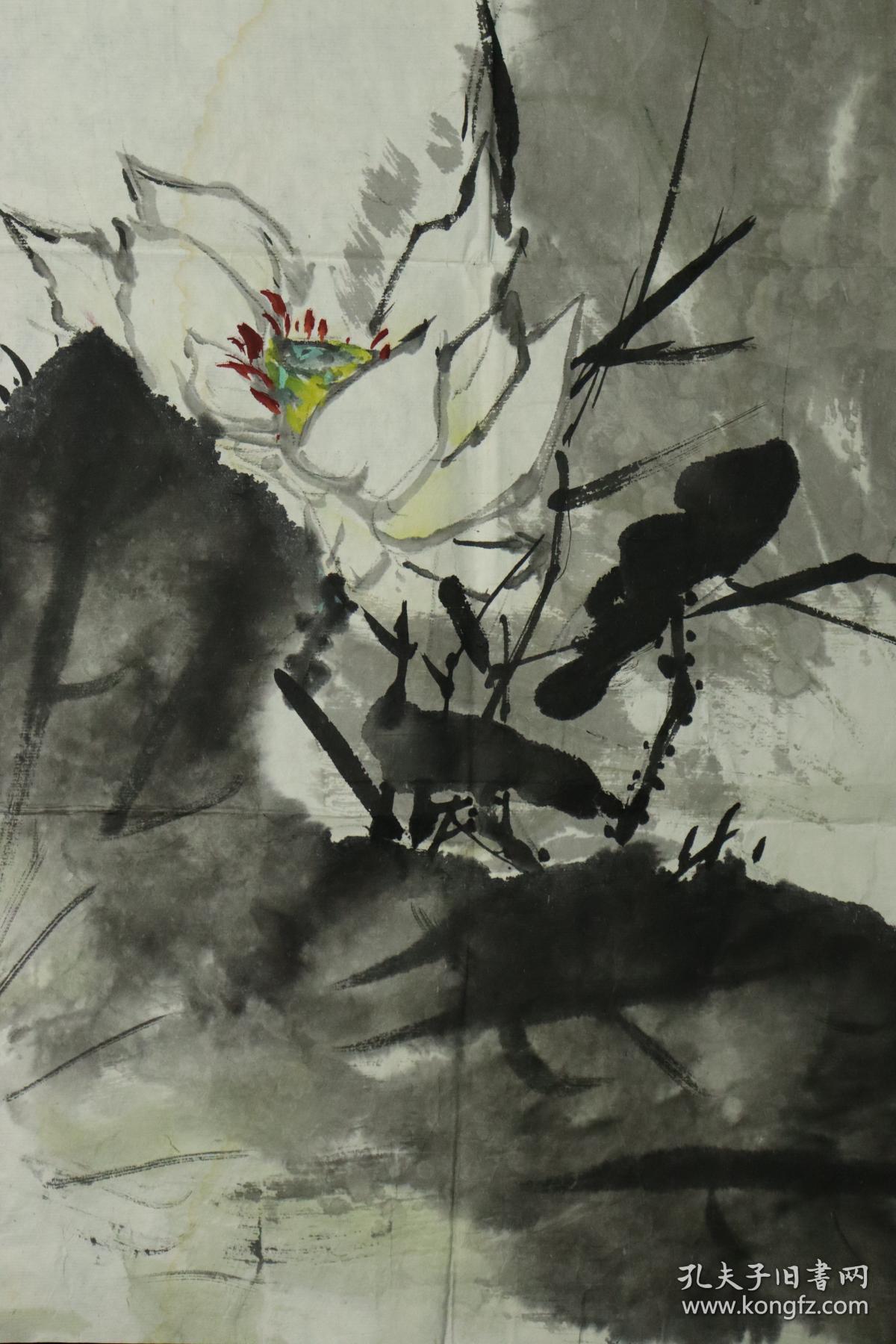 著名书画家有芦雁经之称郑克明国画作品荷一幅纸本软片钤印郑hxtx