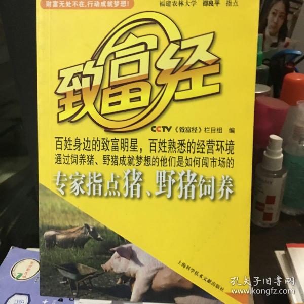 cctv 致富经:专家指点猪,野猪饲养