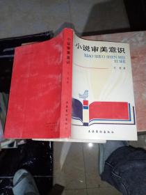 小说审美意识