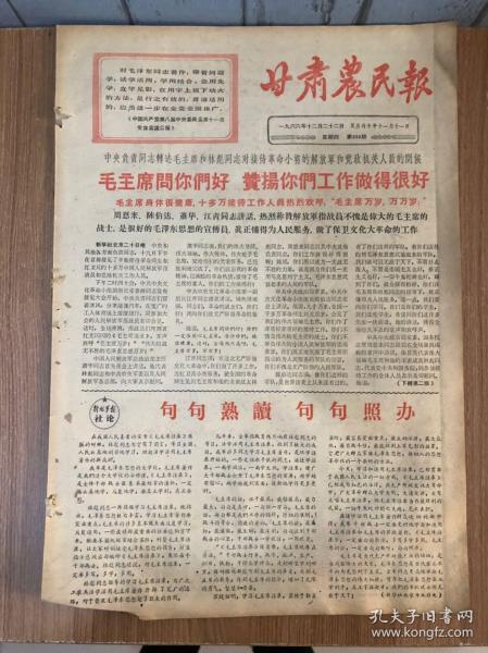 人口普查假报法律责任_人口普查(2)