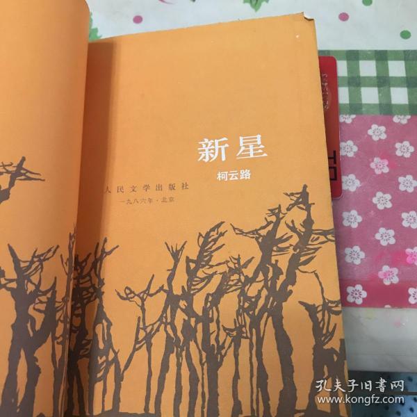 新星(柯云路)