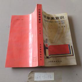 小说审美意识
