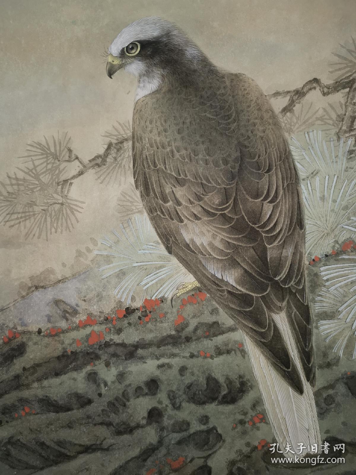 郑路迅工笔鹰精品真迹