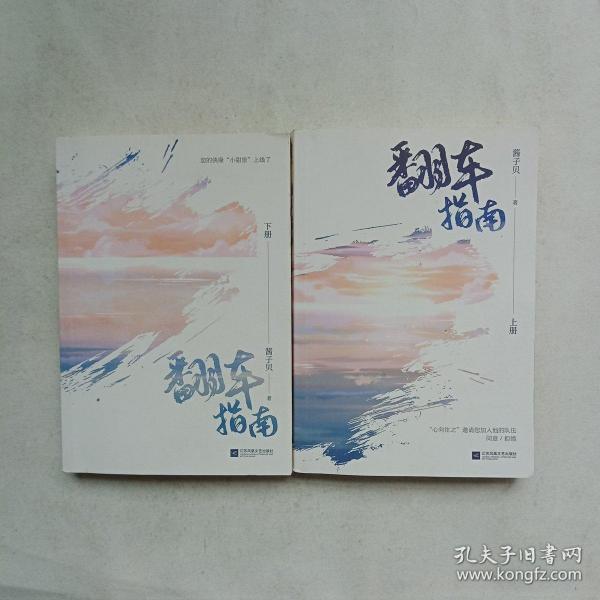 翻车指南上下册(酱子贝代表作 网络原名:网恋翻车指南 全2册)