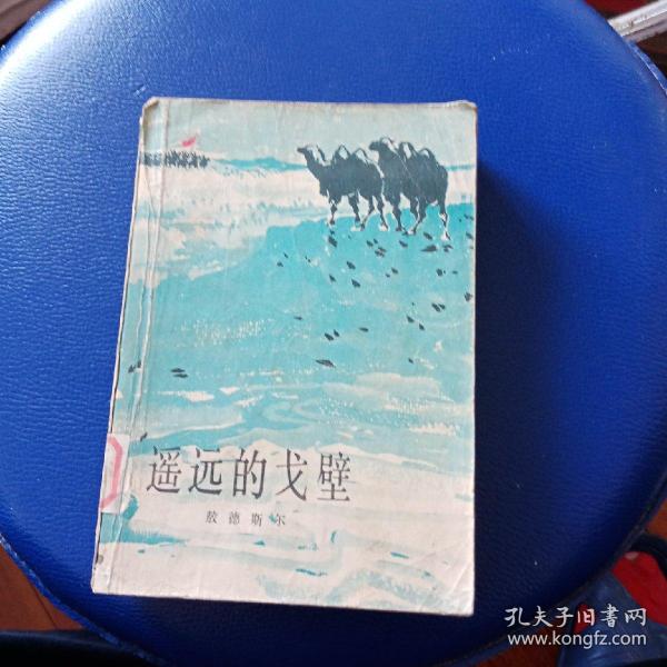 遥远的戈壁