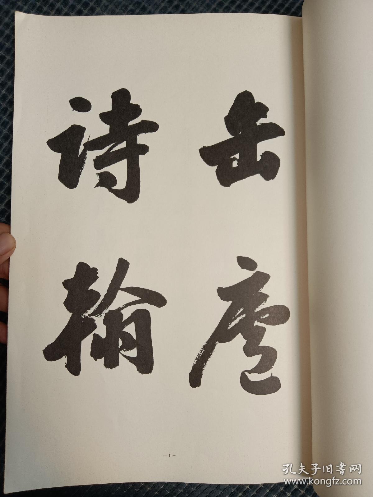 中盆 : 私が見続けた国技・大相撲の
