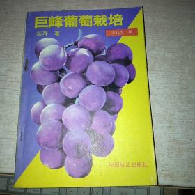 巨峰葡萄栽培 1992年1版4印