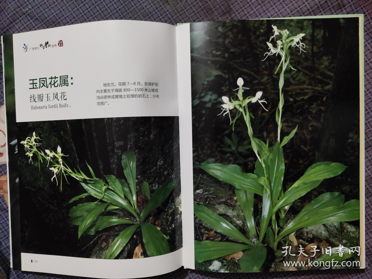 广西雅长野生兰科植物彩色图集16开精装铜版纸全彩图
