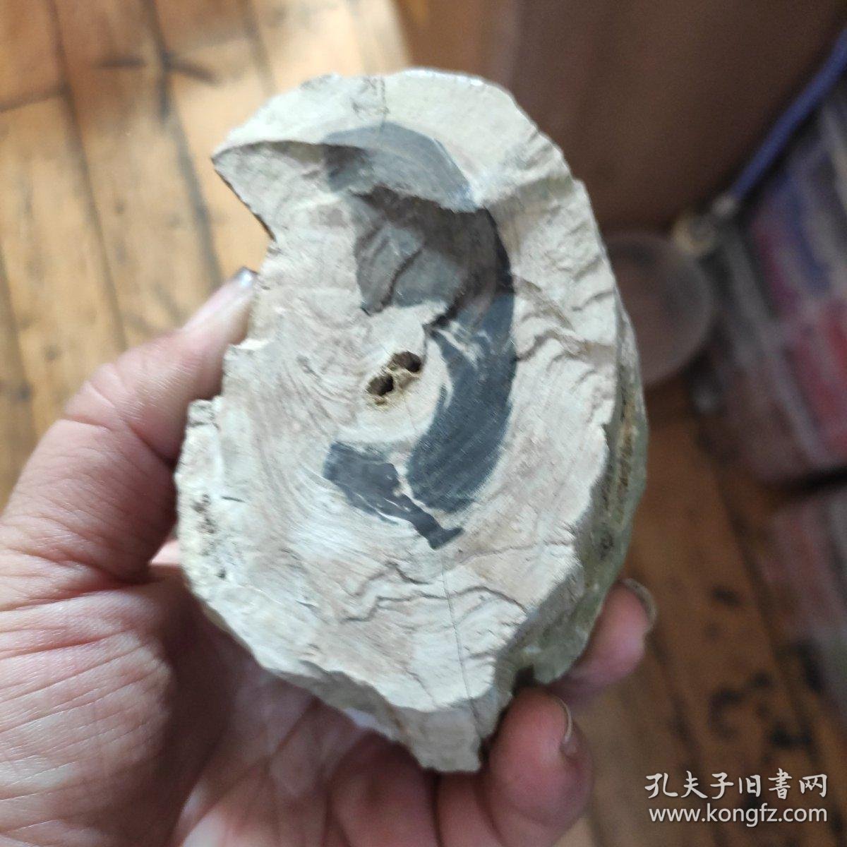 【图】2号天然树化石、硅化木、硅化玉、树化玉小品摆件,文房雅玩。有年轮,有树心,有天然孔洞,有木结,非常有趣,重333克。不是缅甸的那种,是 ...