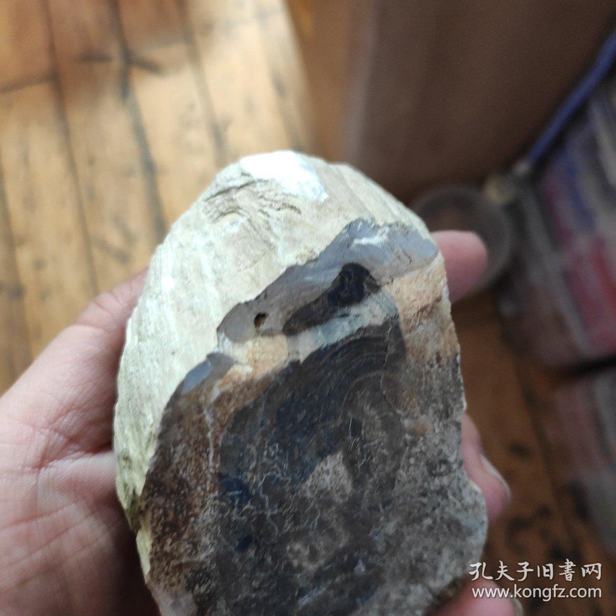 【图】2号天然树化石、硅化木、硅化玉、树化玉小品摆件,文房雅玩。有年轮,有树心,有天然孔洞,有木结,非常有趣,重333克。不是缅甸的那种,是 ...
