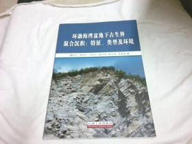 环渤海湾盆地下古生界混合沉积：特征、类型及环境