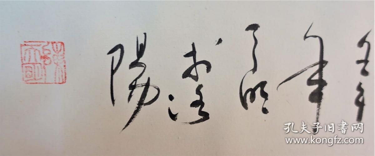 陈天明马到成功