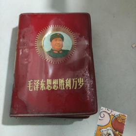 毛泽东思想胜利万岁