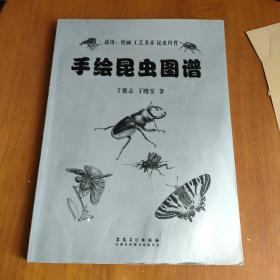 手绘昆虫图谱