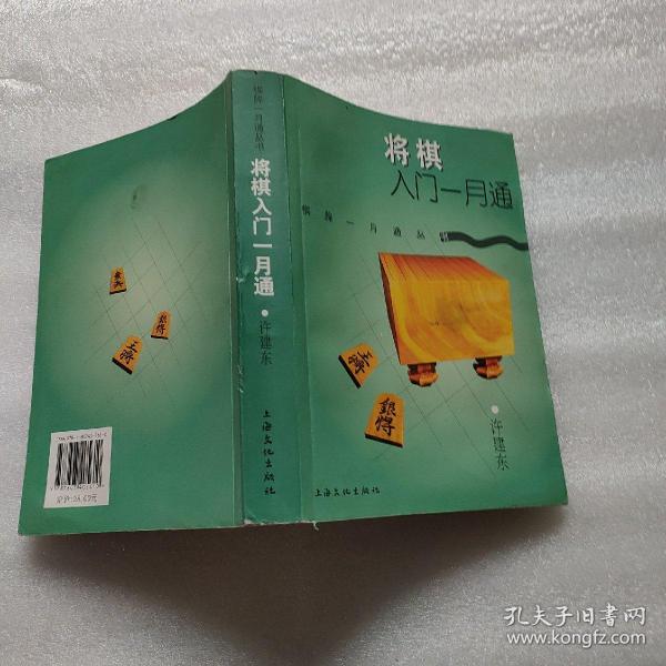 将棋入门一月通 孔夫子旧书网
