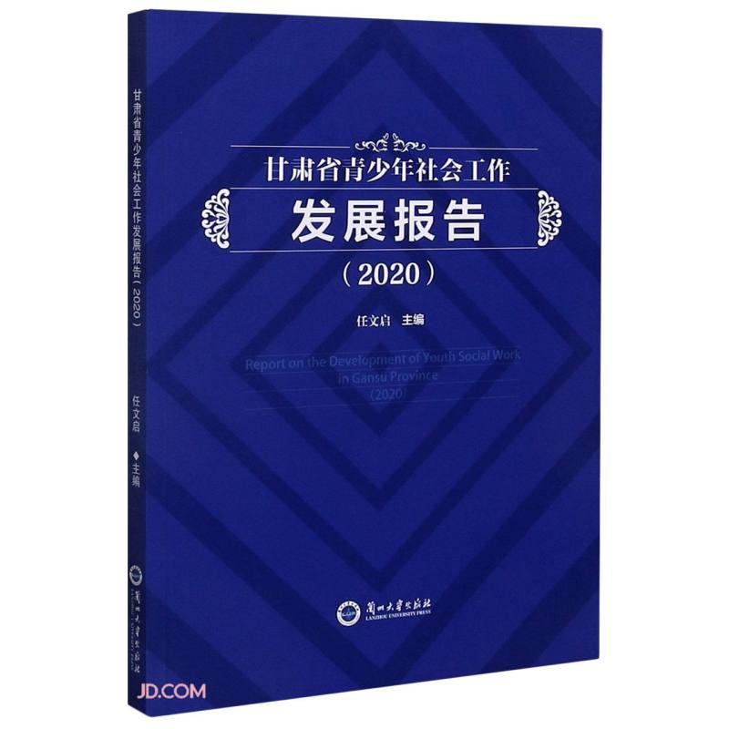 甘肃省青少年社会工作发展报告(2020)