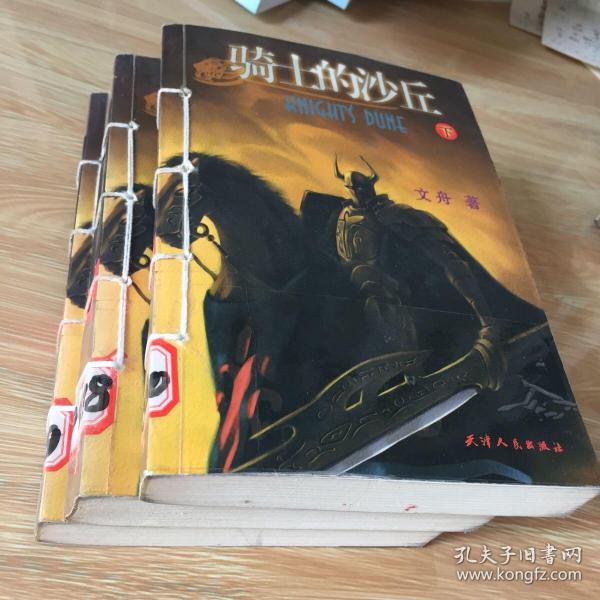 骑士的沙丘(上中下)