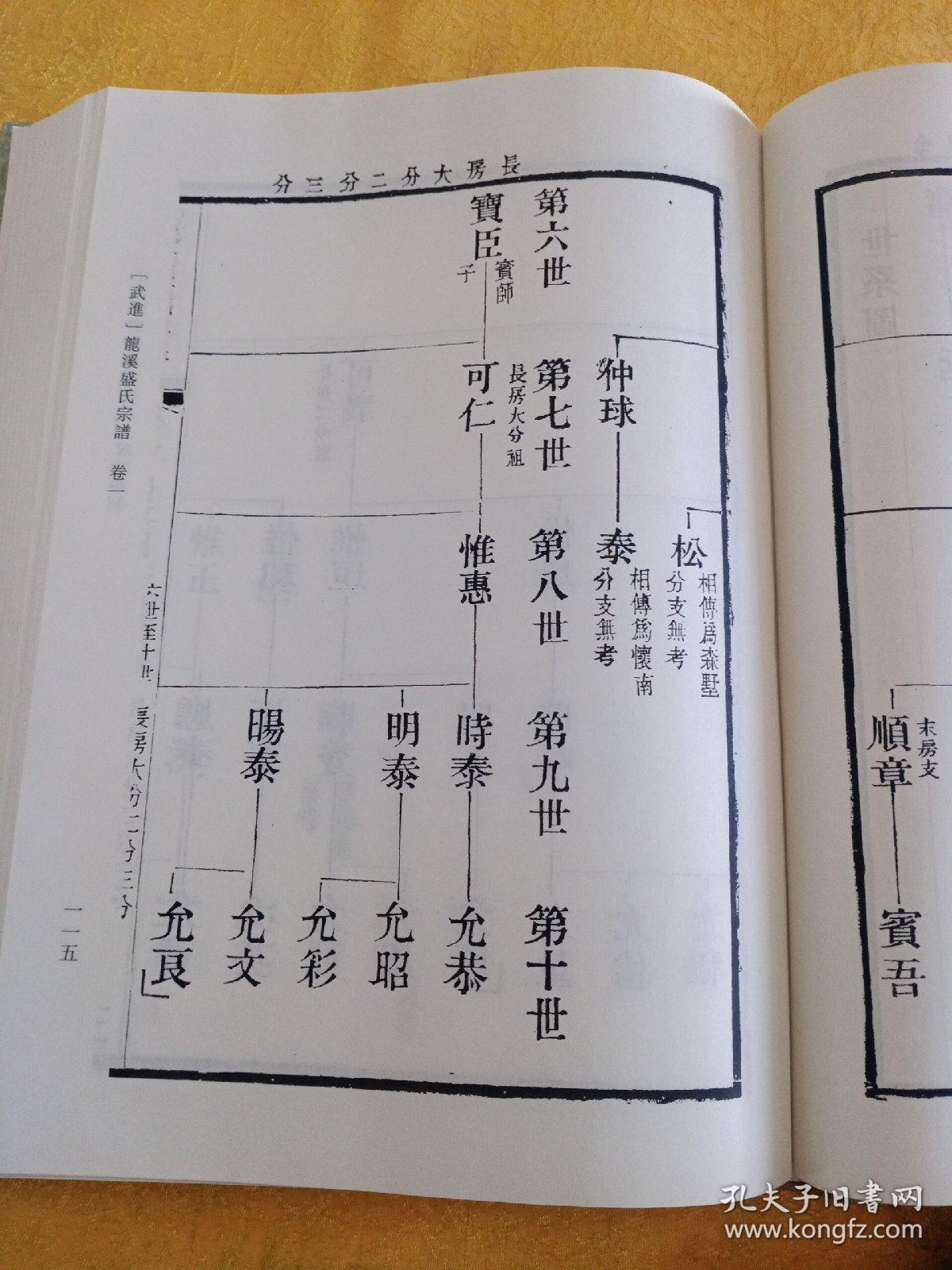 上海图书馆藏名人家谱丛刊 武进龙溪盛氏宗谱_上海图