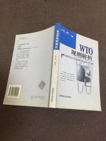 WTO规则解析