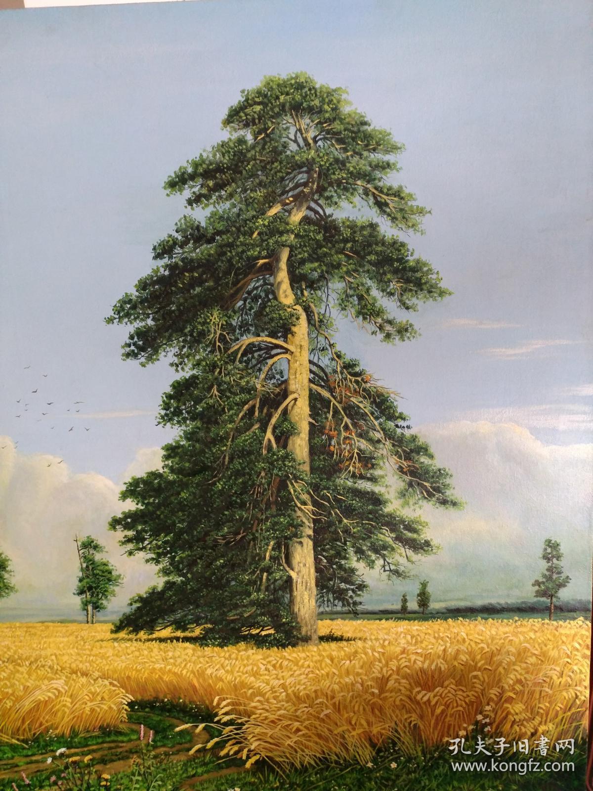 油画 风景画(希施金 摹本)