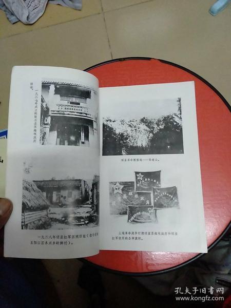 琼崖纵队史(请看图)