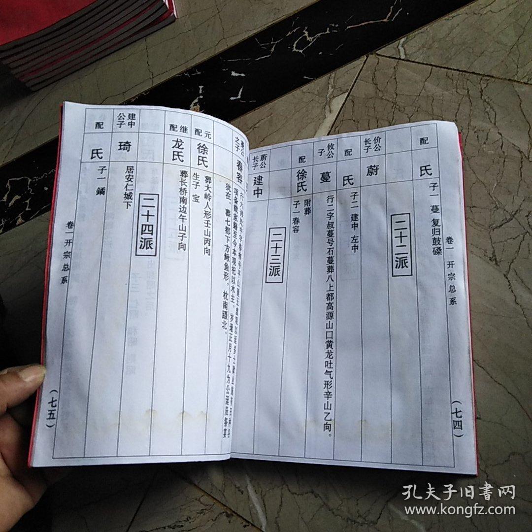 湖南宁乡洪氏七修支谱_洪氏族谱编辑_孔夫子旧书网