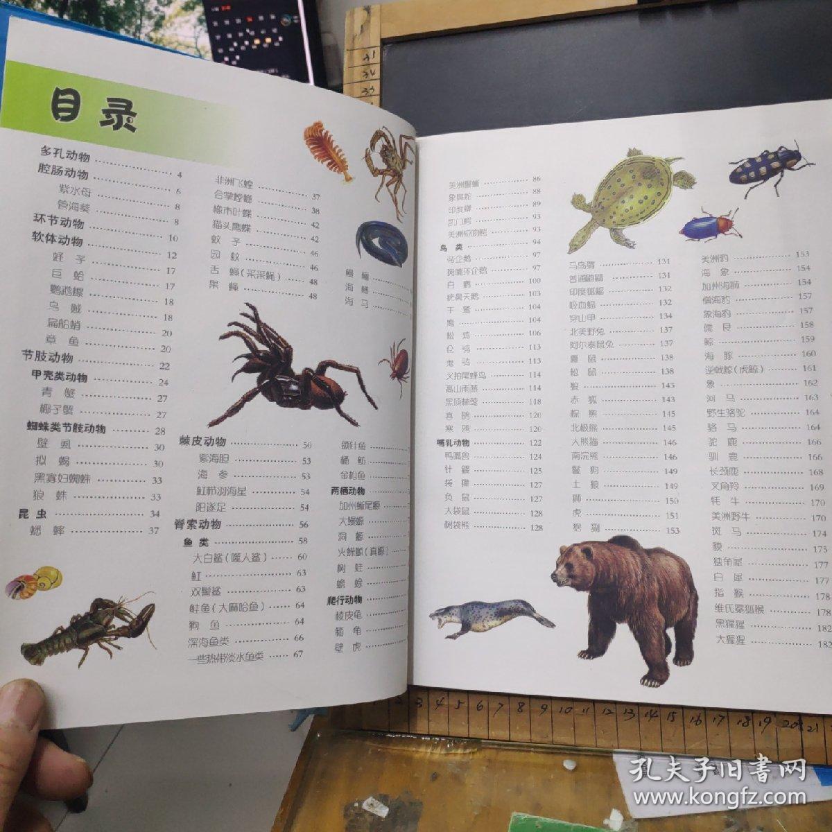世界动物百科一本全