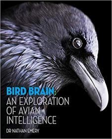 Bird Brain: An exploration of avian intelligence揭秘鸟类大脑