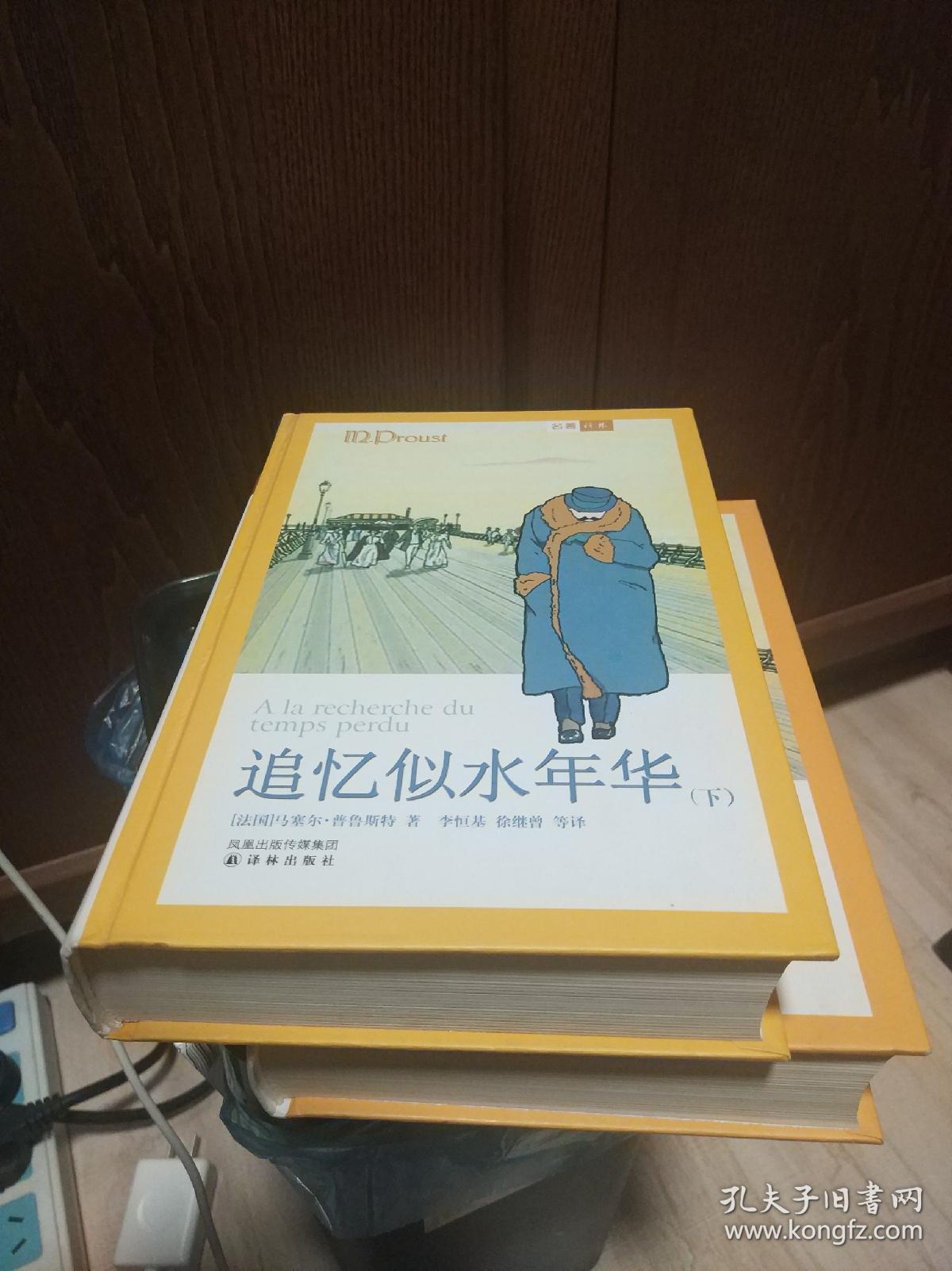 追忆似水年华上下册