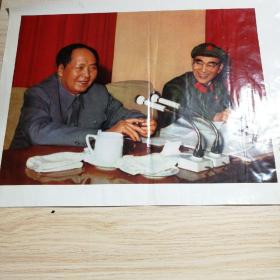 毛泽东和他亲密战友林彪副主席在中国共党第九届中央委员会第一次全体会议