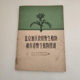 北京地区实用野生植物和有毒野生植物图谱