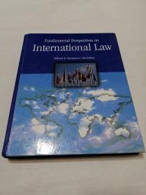 fundamental perspectives on international law