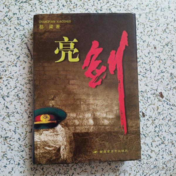 亮剑【精装】