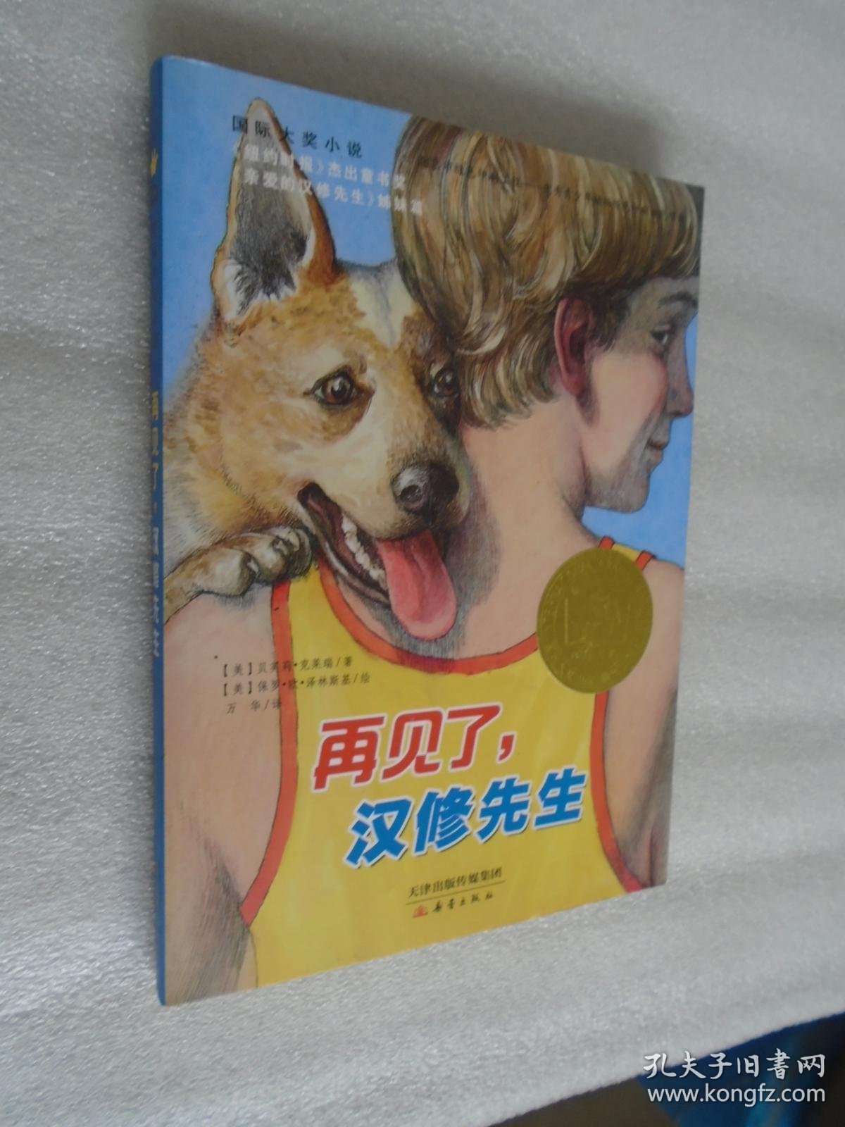 国际大奖小说:再见了,汉修先生